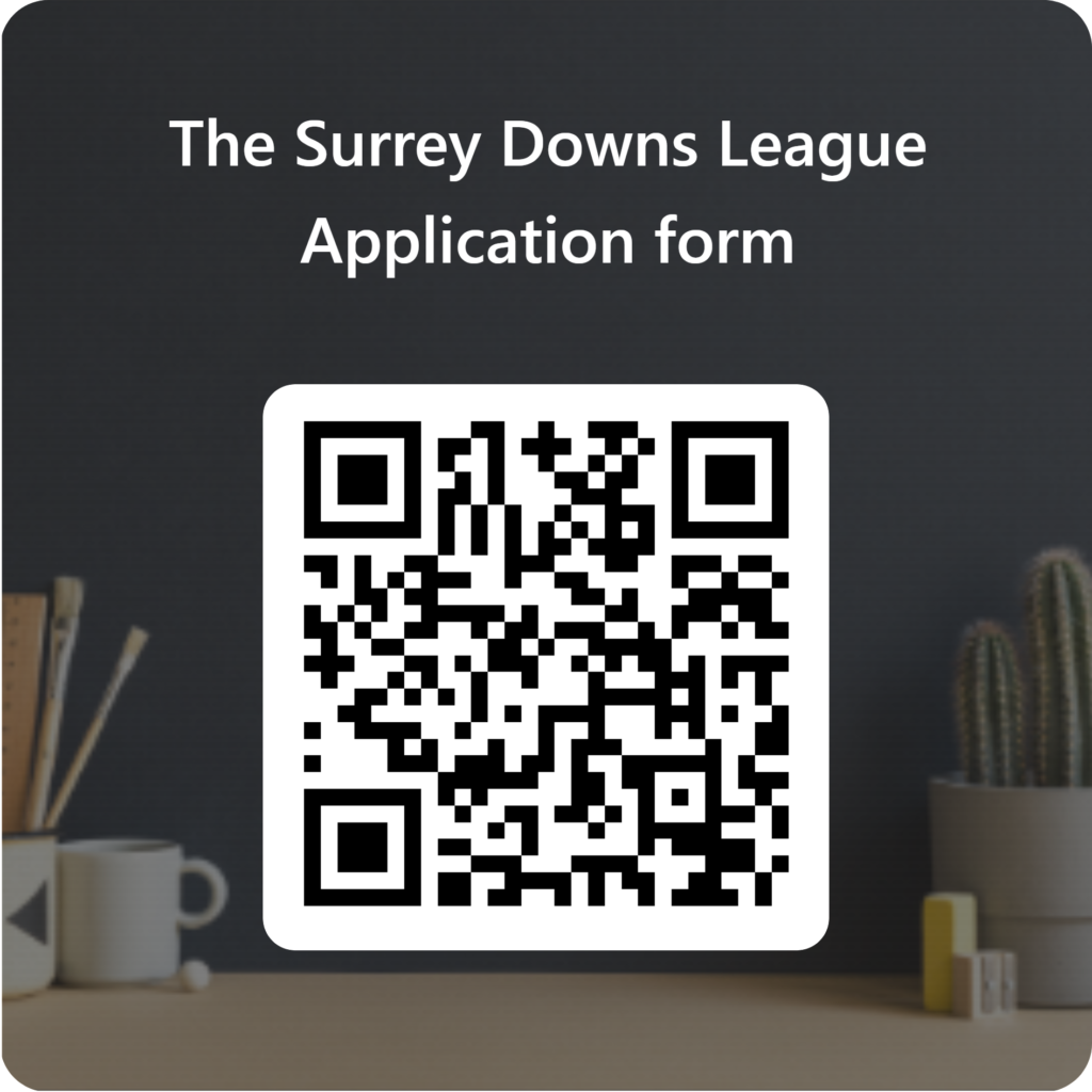 SDLApp Form QR Code